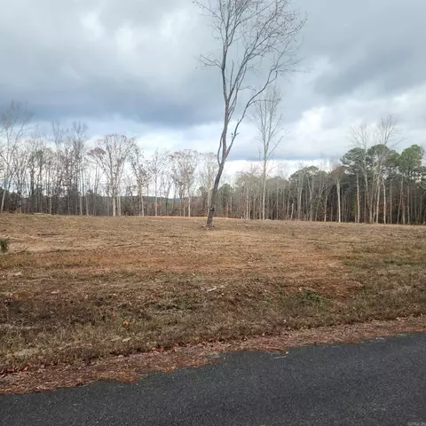 0 The Blfs, Edgemont, AR 72088 photo 2