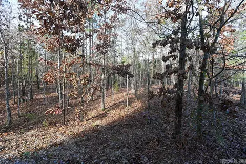 36 Wildlife Ln, Mount Ida, AR 71957 photo 45