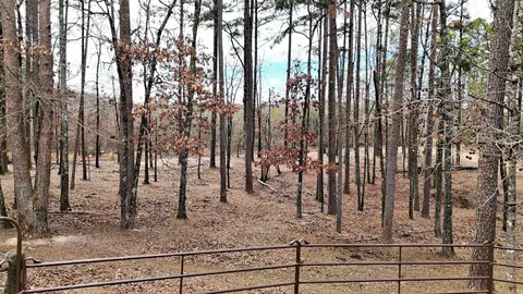 Exterior - 19 Bradshaw Ln, Norman, AR 71960 photo 19 of 19