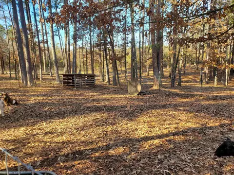 Exterior - 19 Bradshaw Ln, Norman, AR 71960 photo 16 of 19