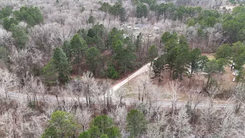 View/Area - 19 Bradshaw Ln, Norman, AR 71960 photo 4 of 5