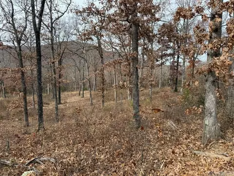 lot65 Restore Rdg, Harrison, AR 72601 photo 8