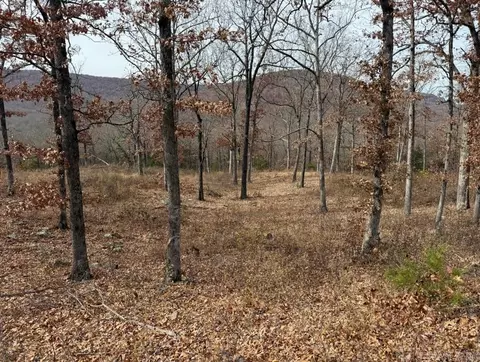 lot65 Restore Rdg, Harrison, AR 72601 photo 11