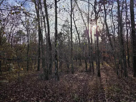 16 Mujeres Ln, Hot Springs Village, AR 71909