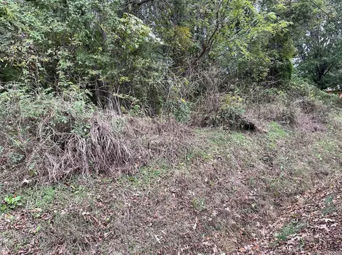 tbd Burrow, Morrilton, AR 72110 photo 6