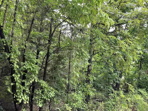 000 Hwy 63 S, Mammoth Spring, AR 72554