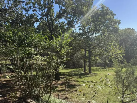 24 Deer Run Trl, Conway, AR 72032 photo 23