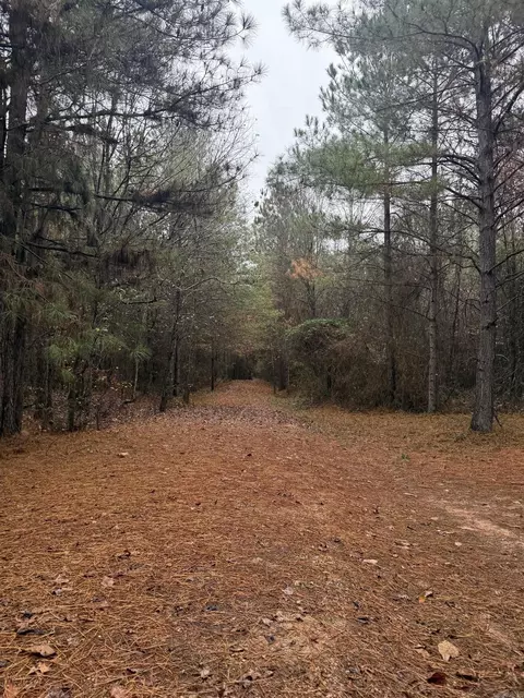 tbd Loan Oak Rd, Lockesburg, AR 71846