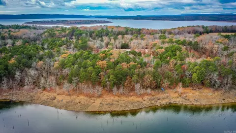 455 E Shore Dr, Drasco, AR 72530 photo 45
