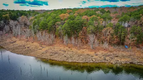 455 E Shore Dr, Drasco, AR 72530 photo 47