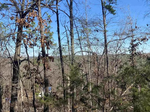 924 Quail Way, Dolph, AR 72531