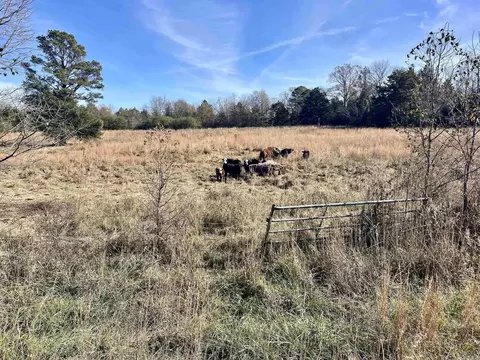 000 Mount Pisgah Rd, Springfield, AR 72157 photo 9