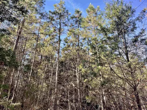 000 Mount Pisgah Rd, Springfield, AR 72157 photo 33