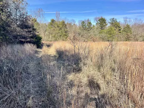 000 Mount Pisgah Rd, Springfield, AR 72157 photo 44