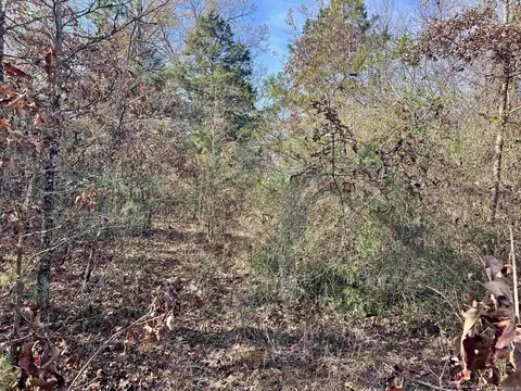 000 Mount Pisgah Rd, Springfield, AR 72157 photo 16