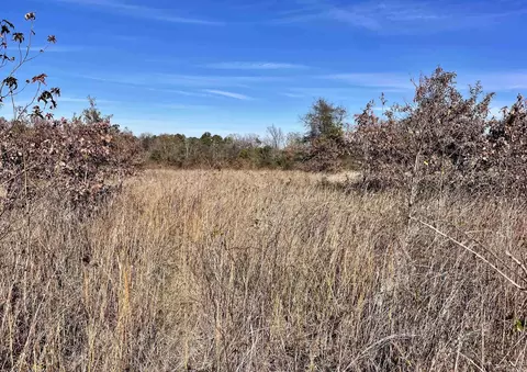 000 Mount Pisgah Rd, Springfield, AR 72157 photo 39