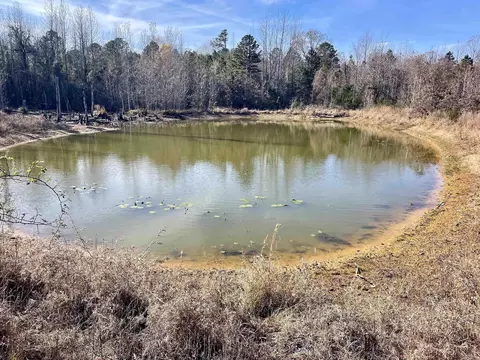 000 Mount Pisgah Rd, Springfield, AR 72157 photo 22