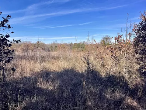 000 Mount Pisgah Rd, Springfield, AR 72157 photo 36