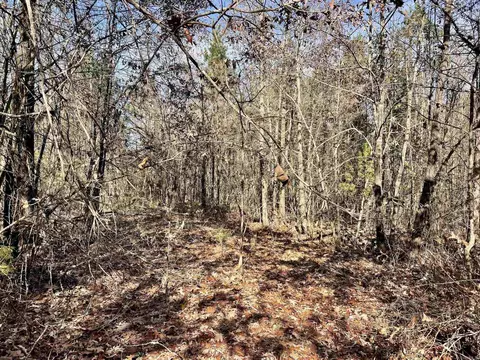 000 Mount Pisgah Rd, Springfield, AR 72157 photo 15