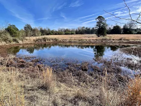 000 Mount Pisgah Rd, Springfield, AR 72157 photo 11
