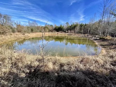 000 Mount Pisgah Rd, Springfield, AR 72157 photo 19