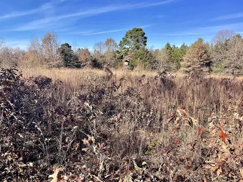 000 Mount Pisgah Rd, Springfield, AR 72157 photo 30