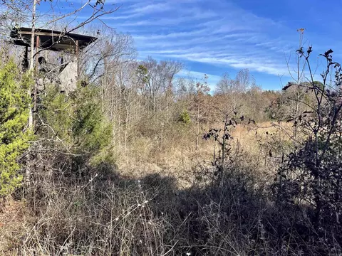 000 Mount Pisgah Rd, Springfield, AR 72157 photo 18