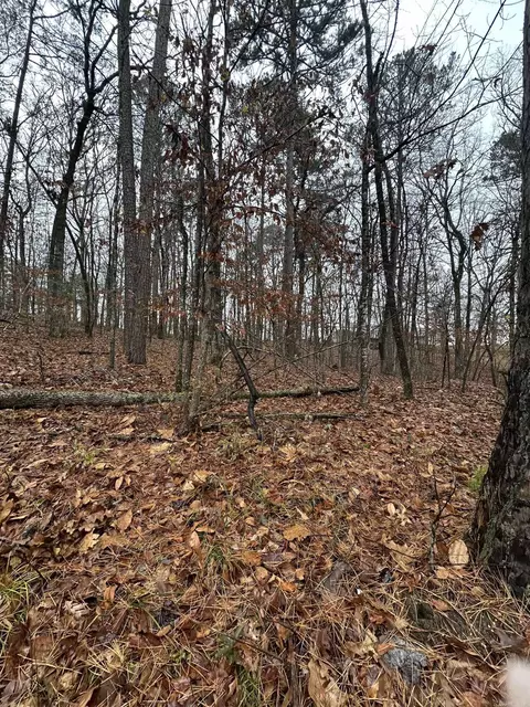 tbd Dogwood Trl, Tull, AR 72015 photo 9