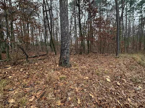 tbd Dogwood Trl, Tull, AR 72015 photo 10