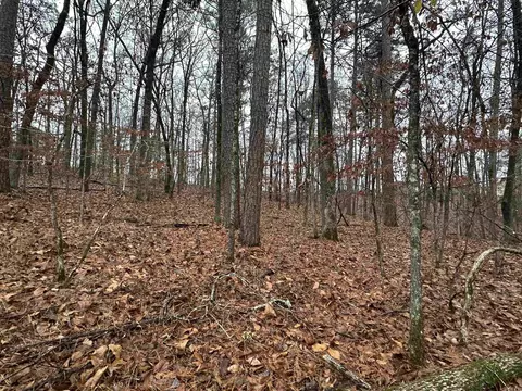 tbd Dogwood Trl, Tull, AR 72015 photo 2