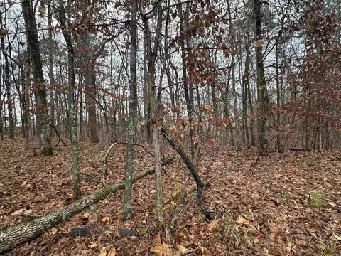tbd Dogwood Trl, Tull, AR 72015 photo 3