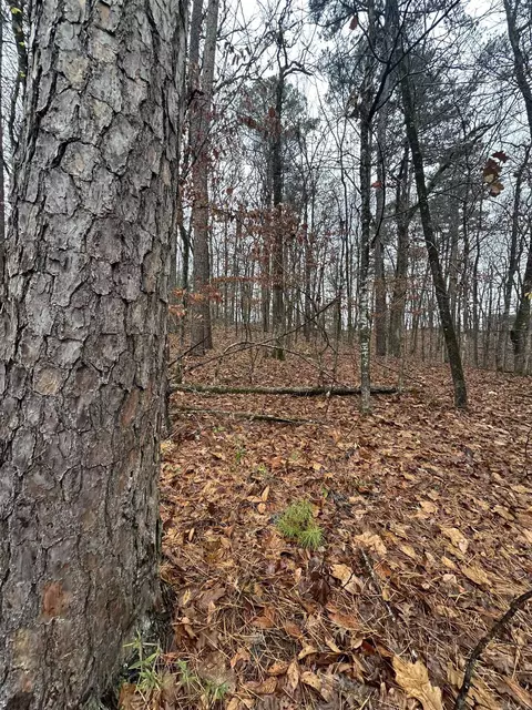 tbd Dogwood Trl, Tull, AR 72015 photo 7