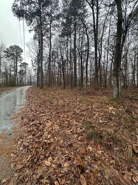 tbd Dogwood Trl, Tull, AR 72015 photo 5