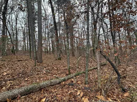 tbd Dogwood Trl, Tull, AR 72015 photo 4