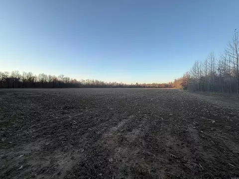 Other - 1 Cr 457 Rd, Pollard, AR 72456 photo 3 of 10