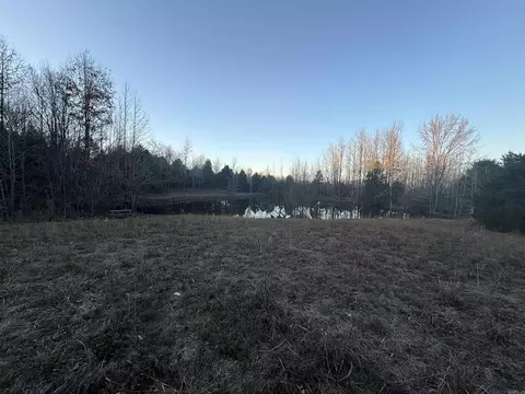 View/Area - 1 Cr 457 Rd, Pollard, AR 72456 photo 2 of 2