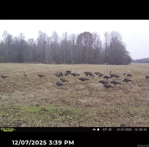 Other - 1 Cr 457 Rd, Pollard, AR 72456 photo 7 of 10