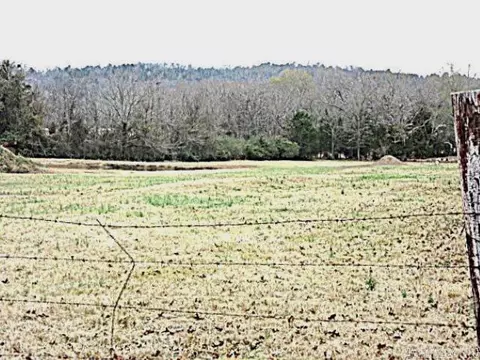 16 Cherub Ct, Greenbrier, AR 72058