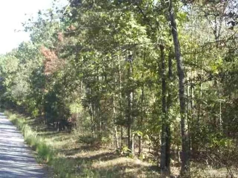 00 Easy St, Drasco, AR 72530 photo 2