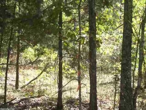 00 Easy St, Drasco, AR 72530