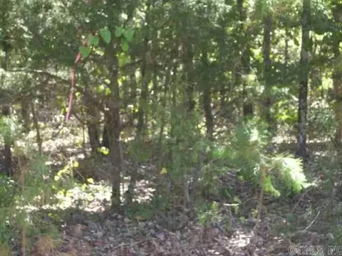 00 Easy St, Drasco, AR 72530 photo 3