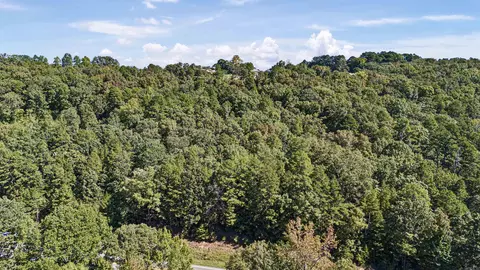 13956 N Sr 7 Hwy, Dover, AR 72737 photo 8