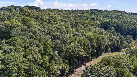 13956 N Sr 7 Hwy, Dover, AR 72737 photo 7