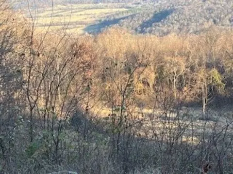 000 Cooper Pt, Mountain View, AR 72560