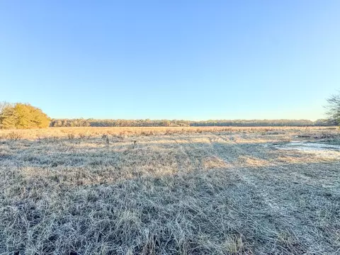 Sfc 255, Palestine, AR 72372 photo 6