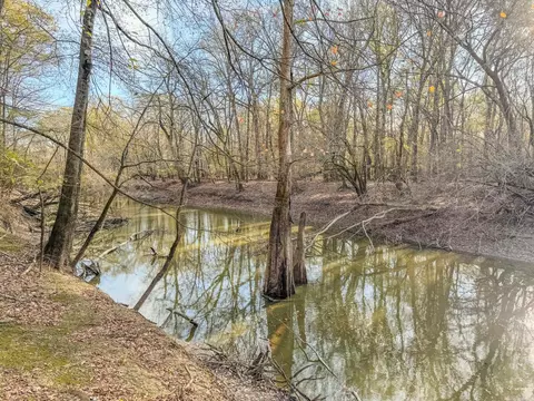 Sfc 255, Palestine, AR 72372 photo 50