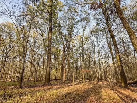 Sfc 255, Palestine, AR 72372 photo 23