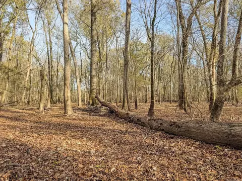 Sfc 255, Palestine, AR 72372 photo 28