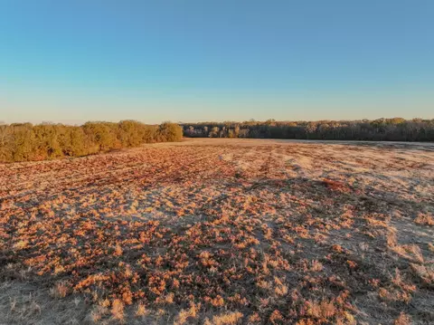 Sfc 255, Palestine, AR 72372 photo 5