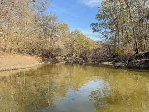Sfc 255, Palestine, AR 72372 photo 31